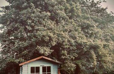 Nature Charm & Fruit Delights, multi-generation celebratory home -Try, Relax, Repeat - Sellindge - Foto 12