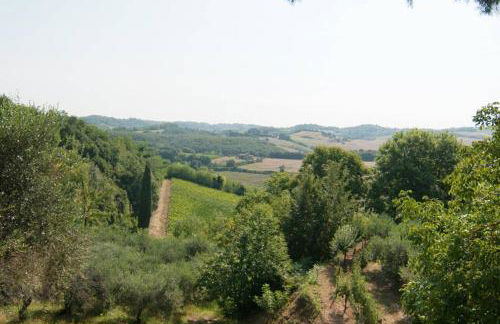 Stunning Country House overlooking Tuscany hills - Foto 10