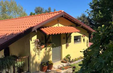 Quinta de Carcavelos Agroturismo e Enoturismo - Foto 2