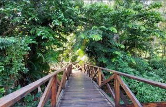 casa para cop30 - Foto 6