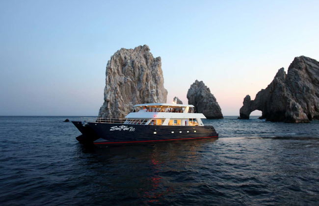 Whale Watching Catamaran Trip - Foto 6