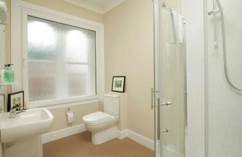 Downright Gabbler - Foto 6