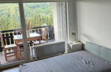 Wohnung im Schwarzwald mit Panorama Blick - Foto 19