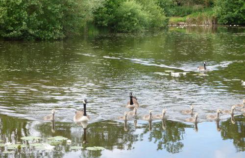 Lakeside Lodge - Foto 14