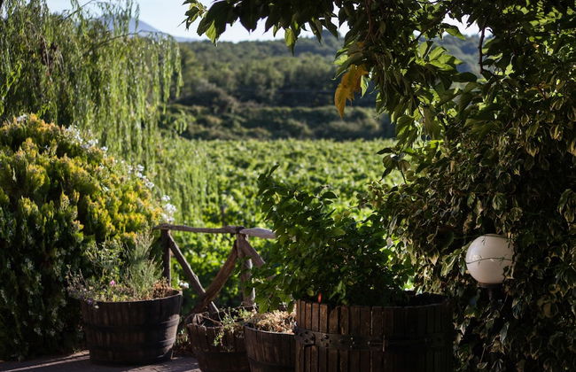 L'Antica Vigna - Photo 31