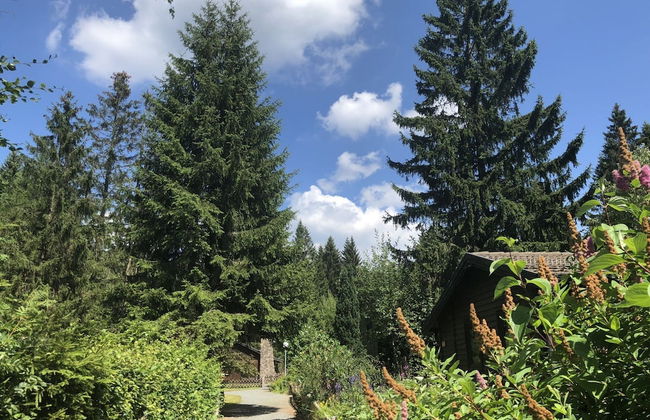 Ferienhaus in Clausthal-zellerfeld mit Terrasse - Foto 13