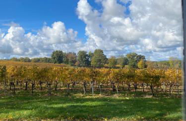 L'Eperonnette, cozy house with swimming pool, surrounded by vineyard, near St Emilion - Foto 47