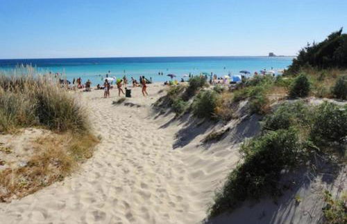 Giuliana's house by the sea in Tuscany - Foto 57