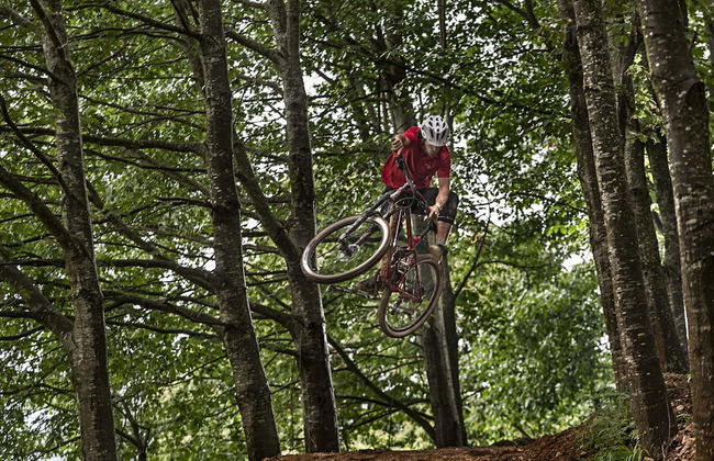 Cabañas Deluxe Basajaun Basoa by IrriSarri Land - Foto 56