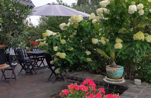 Kaszubiana direkt in der Natur - Photo 55