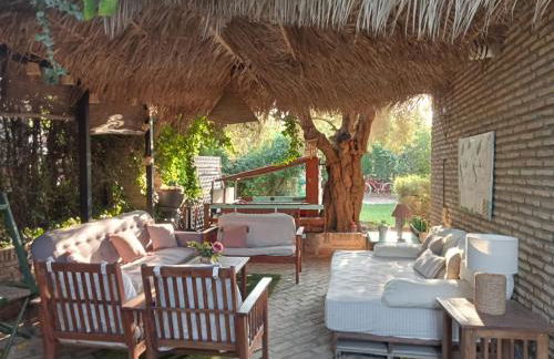 Dormir entre limones, Casa de invitados en vivienda familiar - Foto 2