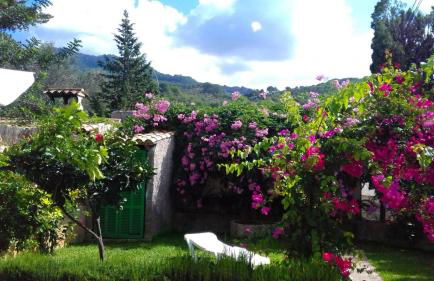 Apartment Bougainvillea - Foto 4