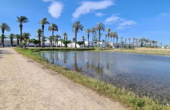 Casa l'Arrossal - Adults Only - Foto 17