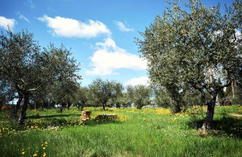 Agriturismo San Sano - Foto 56