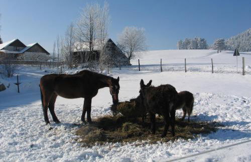Haus Diesenhof - Foto 31