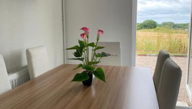 Cosy bungalow with views, walks, garden & parking. - Foto 3