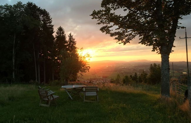 Apartment in the Waxenegg Country House - Photo 30