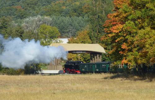 Ostseeblick Baabe - Foto 36