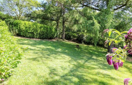 Lower Dolgenau- The Cottage - Foto 27