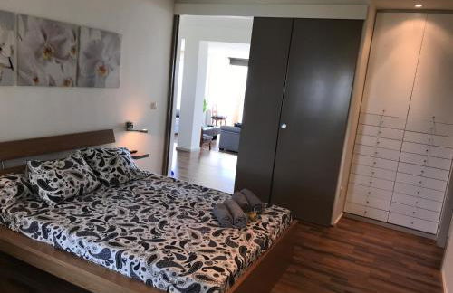 Gran Apartamento, un lujo en playa El Saler - Valencia - Photo 59