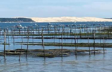 La Caza Cozy - Foto 16