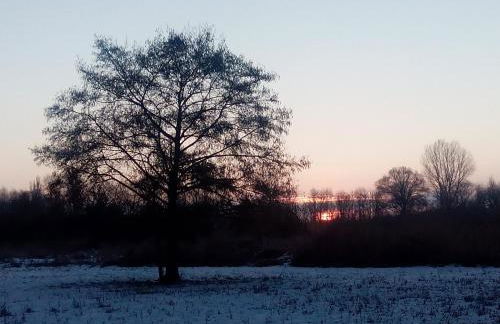 Ferienwohnung "Alte Fischerei" - Foto 32