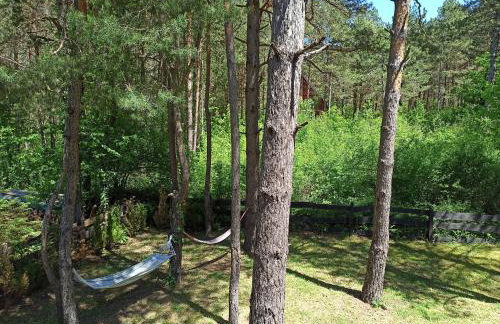 Plitvice Studio Apartments - Foto 12