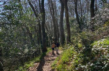 Central Seaside Bungalow - Foto 39