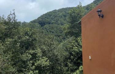 Refugio Luz de vida Anaga - Foto 15