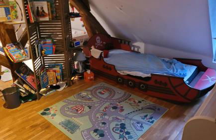 Country house for animals and nature lovers - Photo 39