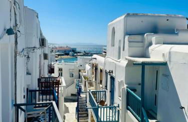 Mykonos down town - Photo 11