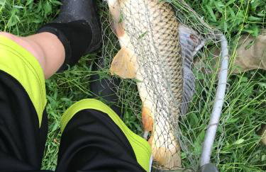 Bucks County Home Farm Philadelphia Dog Friendly - Foto 46