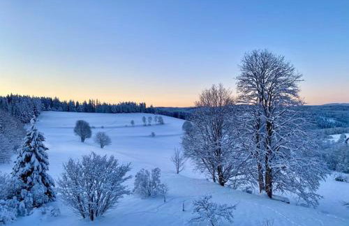 Gästehaus Steiert Fewo Kuhbergblick - Foto 10