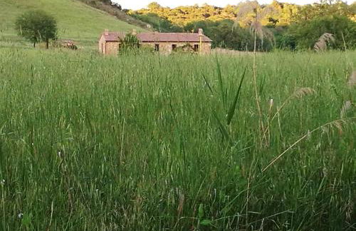 Molino della Tuoma - Foto 67