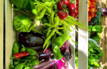 Agriturismo Podere Valdo - Foto 11