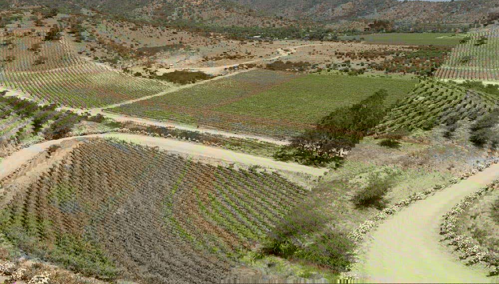 Valparaíso & Viña del Mar Day Trip - Photo 1