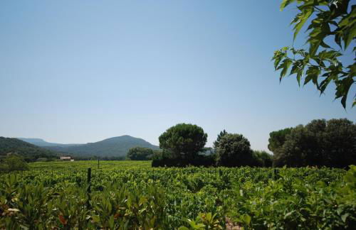 Le Grand Barsan - Photo 9