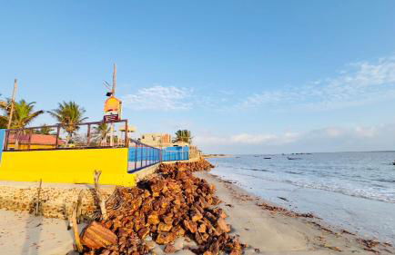 Casa da Barra Tutóia - Photo 38