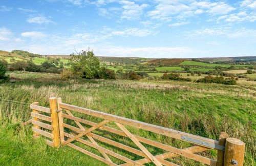 Coltus Lands - Photo 13