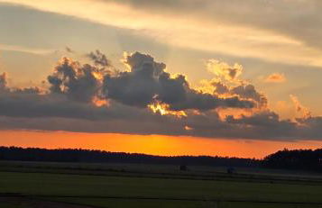 Waldpension Gussow - Foto 24