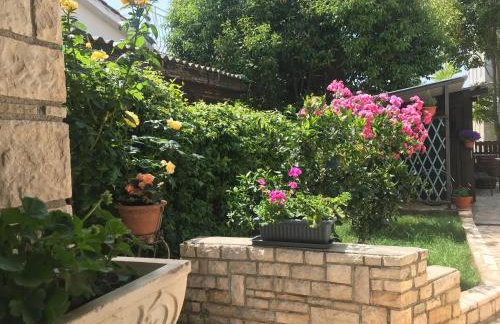 App Sorgo - Photo 40