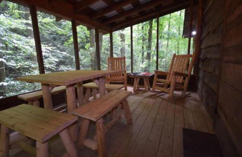 Buzzard Roost cabin at Cabin Fever in NC - Foto 33