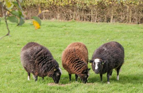 Phoenix House - Foto 51