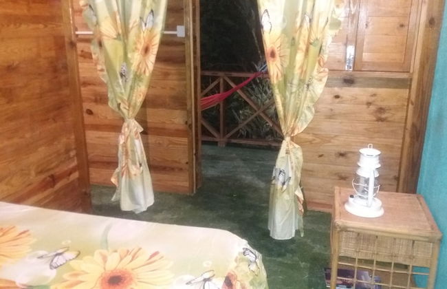 Berkey's Jungle Paradise - Photo 5