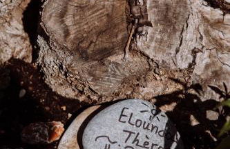 Elounda Τheros - Foto 69