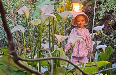 Terra-Crystal - Foto 19