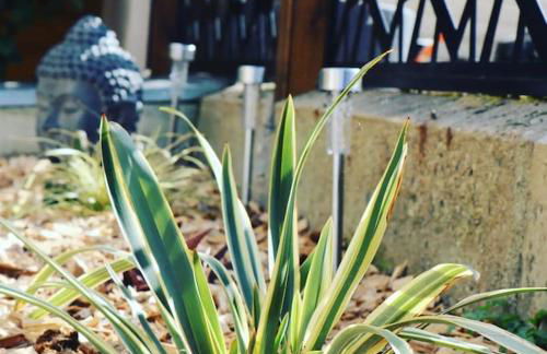 La baie du Mont Appartement de vacances proche du Mont Saint Michel - Foto 27