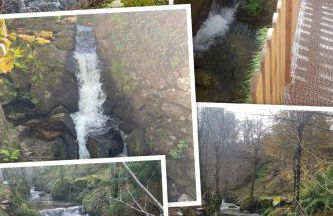 EL VIEJO MOLINO - Foto 37