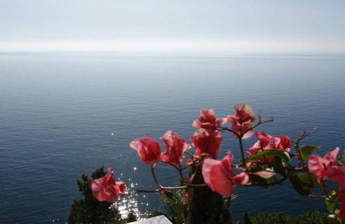 PUSHE Village El Palmito Nature & Relax - Foto 12