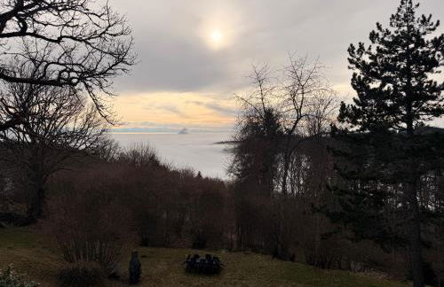 Kuckucksnest - Foto 36